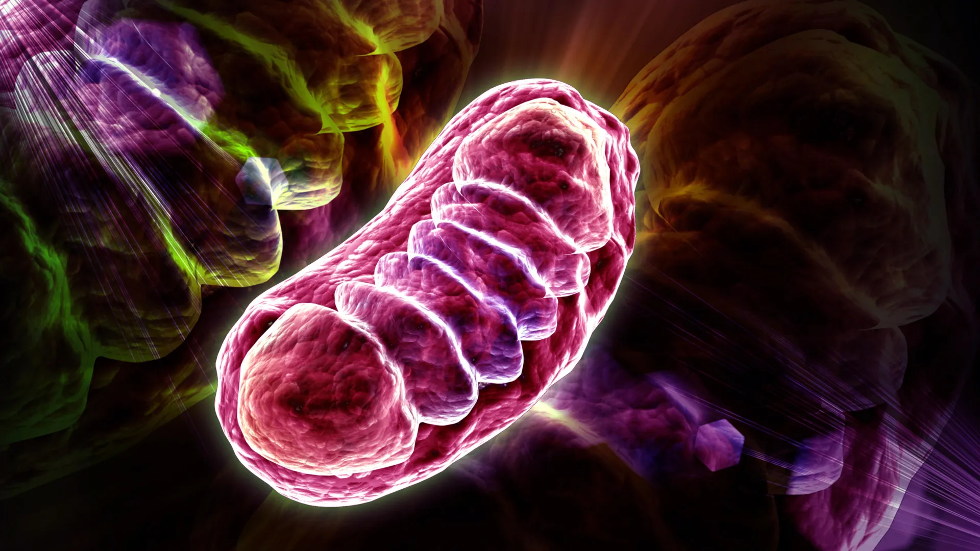 glowing-mitochondria-cell-biology.webp.webp